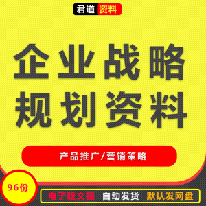企业产品渠道策略市场推广营销发展战略管理案例分析规划执行方案
